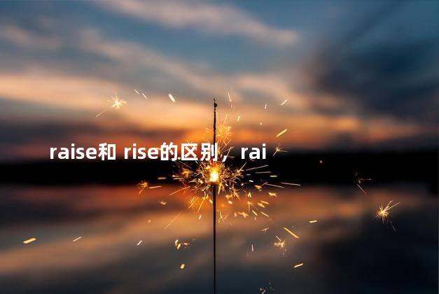 raise和 rise的区别，raise和rise区别读音